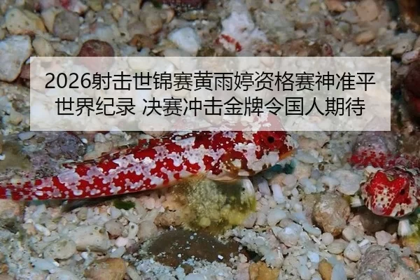 she-ji-shi-jin-sai-huang-yu-ting-zi-ge-sai-shen-zhun-ping-shi-jie-ji-lu-jue-sai-chong-ji-jin-pai-ling-guo-ren-qi-dai-2-595.jpg