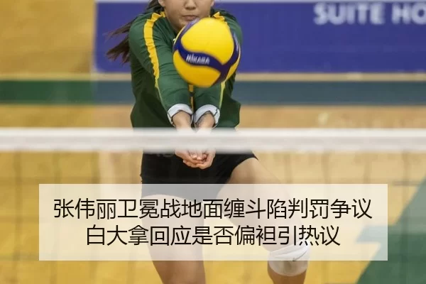 zhang-wei-li-wei-mian-zhan-di-mian-chan-dou-xian-pan-fa-zheng-yi-bai-da-na-hui-ying-shi-fou-pian-tan-yin-re-yi-2-606.jpg